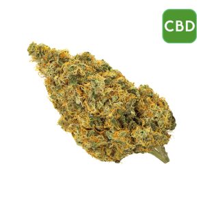 Wholesale CBD Flower - Sour Jack