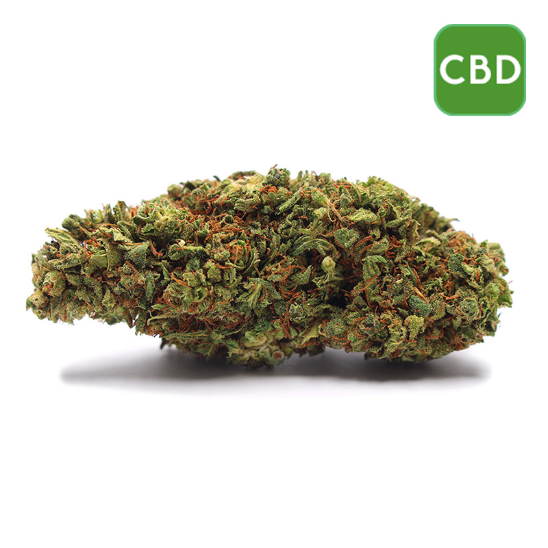 Wholesale CBD Flower Sour Lifter Wholesale CBD Flower Sour Lifter
