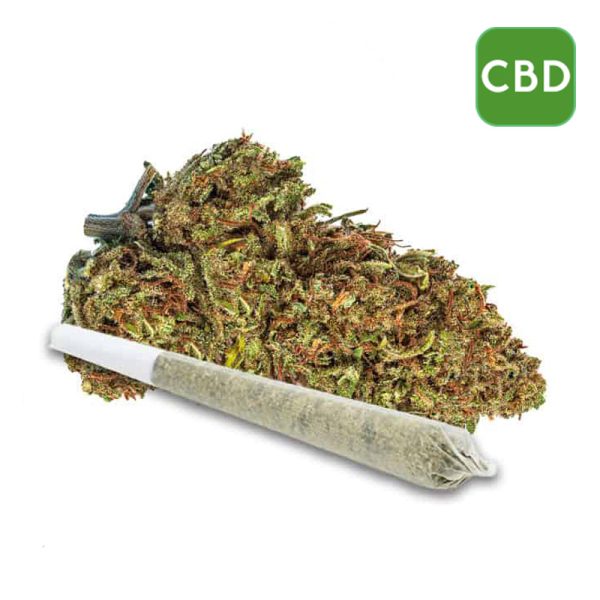 Wholesale CBD Pre Rolls - Lifter
