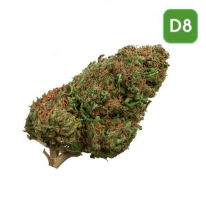 Wholesale Delta 8 Flower - Forbidden V