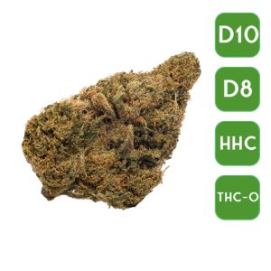 Wholesale Infused Flower - Spec Diesel Strain