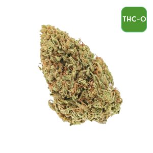 Wholesale THC-O Flower - Hawaiian Haze Strain